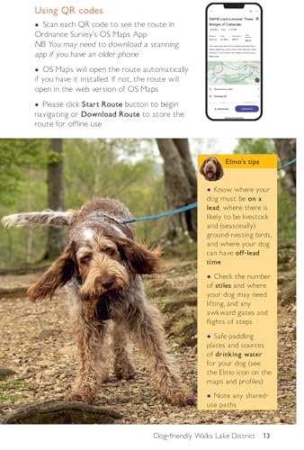 OS Short Walks Made Easy - Dog-friendly Walks Lake District
