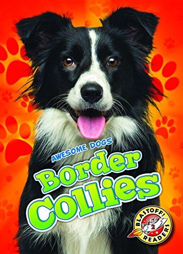 Border Collies (Awesome Dogs)