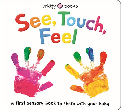 See, Touch, Feel : A First Sensory Book