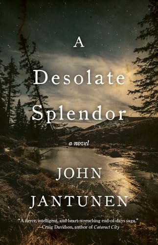 A Desolate Splendor: A Novel