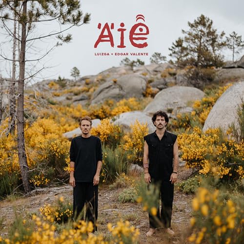 Luizga And Edgar Valente - Aie [VINYL]