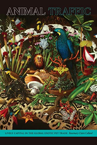 Animal Traffic : Lively Capital in the Global Exotic Pet Trade
