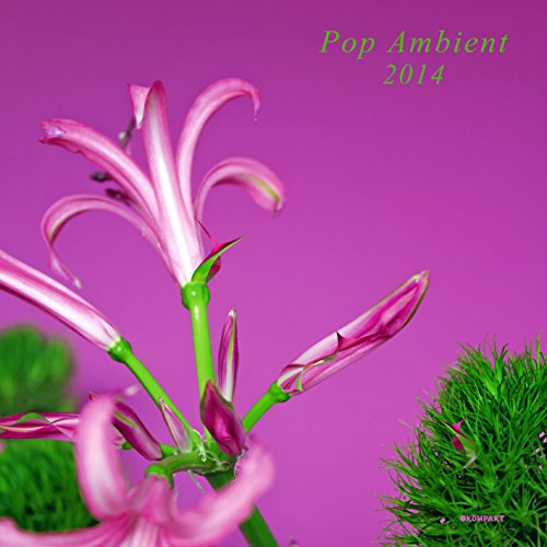 V/a Electronic - Pop Ambient 2014 [CD]