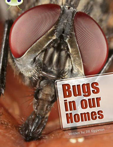 Bugs in Our Homes (BUG CLUB)