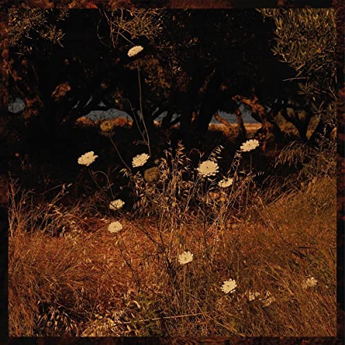 Szun Waves - Earth Patterns  [VINYL]