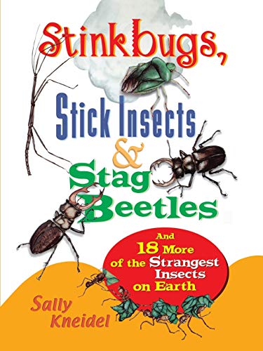 Stinkbugs