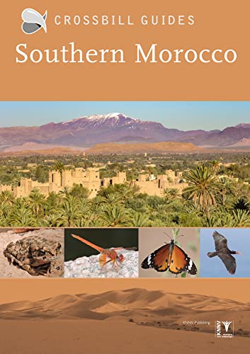 Southern Morocco : 33