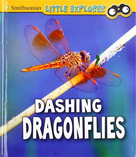 Insect Explorer: Dashing Dragonflies