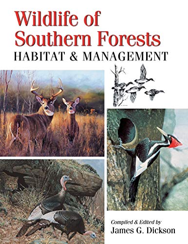 Wildlife of Southern Forests