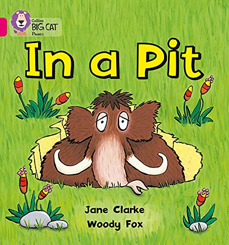 In a Pit: Band 01A/Pink A (Collins Big Cat Phonics)