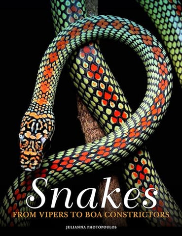 Snakes: From Vipers to Boa Constrictors (Animals)