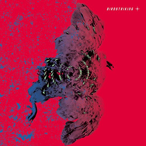 Birdstriking - Birdstriking [VINYL]