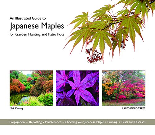 Colorful book cover featuring various Japanese maple trees in garden and pot settings.