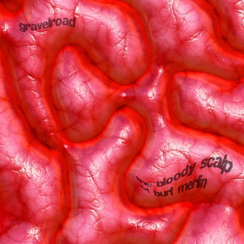 Close-up of a textured, red surface resembling a bloody scalp.