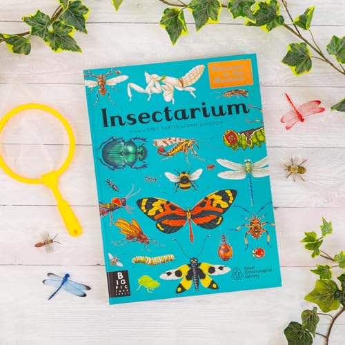 Insectarium