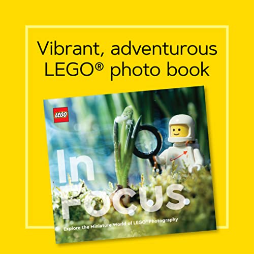 Lego In Focus