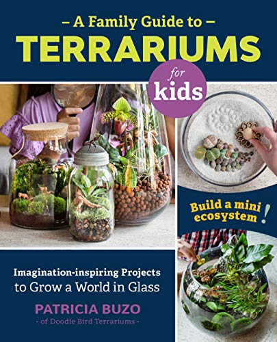 Terrariums for Kids