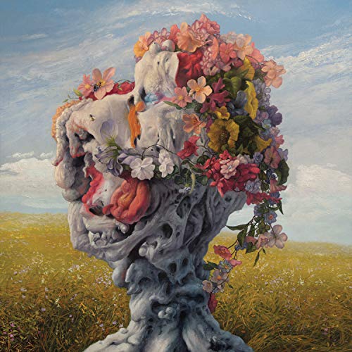 Wilderun - Veil of Imagination [CD]