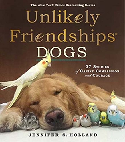 Unlikely Friendships: DOGS