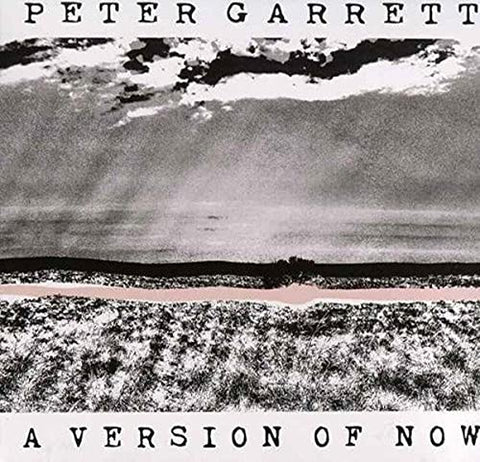 Garrett Peter - A Version Of Now [VINYL]
