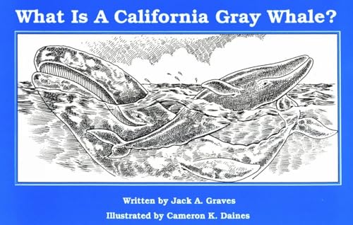 What Is A California Grey Whale?