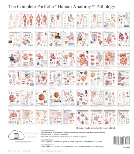 Complete Portfolio of Human Anatomy & Pathology