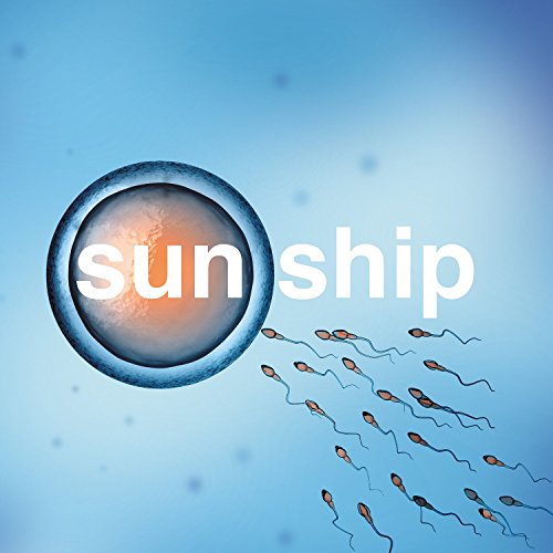 The Brian Jonestown Massacre - The Sun Ship / Playtime [10"] [VINYL]