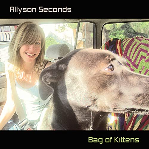 Allyson Seconds - Bag Of Kittens [CD]