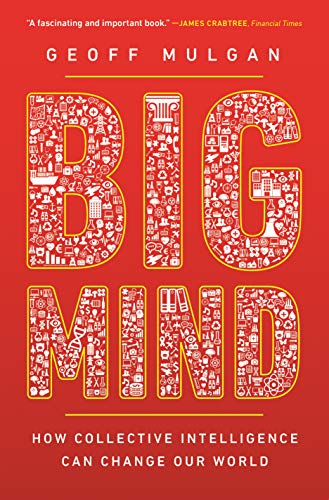 Big Mind