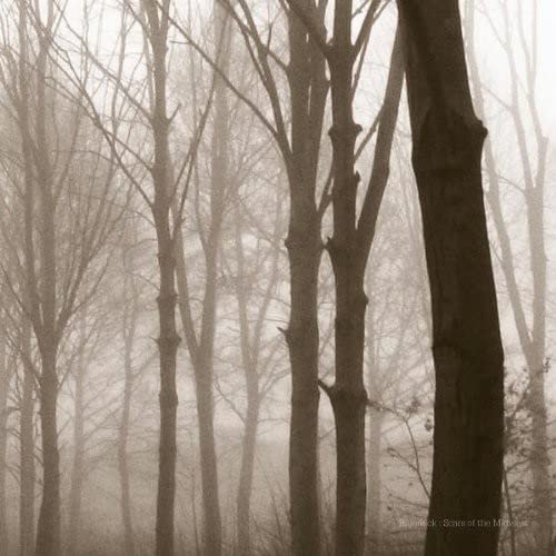 Blueneck - Scars Of The Midwest [CD]