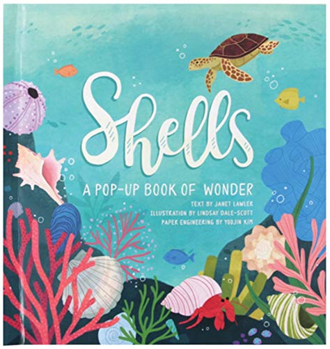 Shells : A Pop-Up Book of Wonder