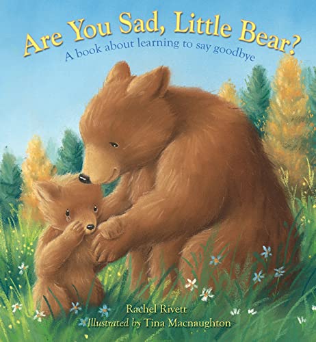 Are You Sad, Little Bear? : A book about learning to say goodbye