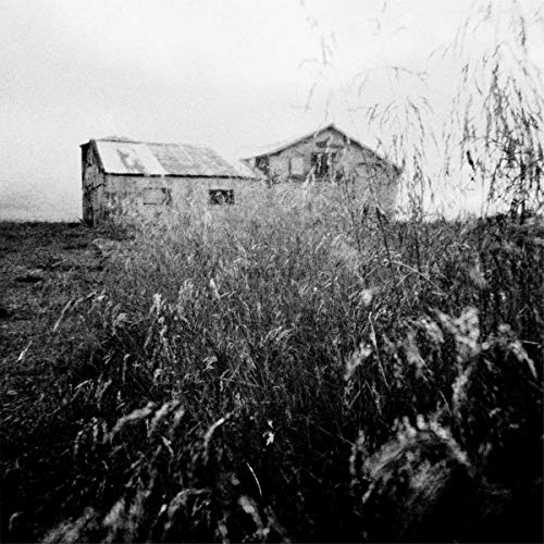 A-sun-amissa - You Stood Up For Victor [CD]