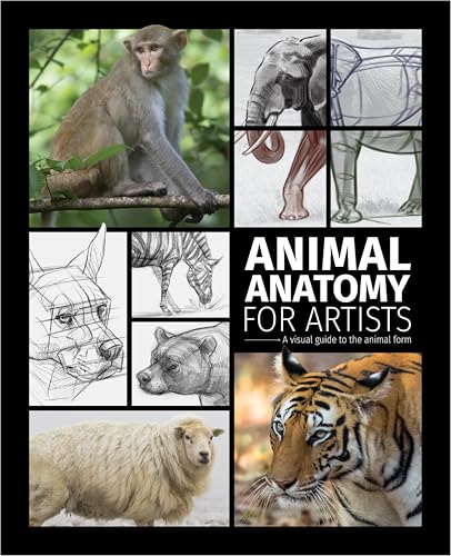 Animal Anatomy for Artists : A visual guide to the animal form