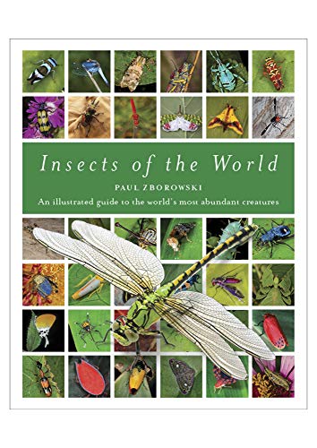 Insects of the World : A fully illustrated guide to the planet's most populous group of animals
