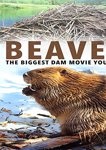 Beavers [DVD]