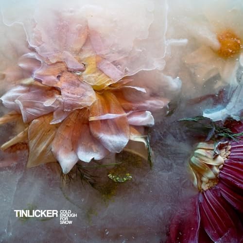 Tinlicker - Tinlicker - Cold Enough For Snow [cd] [CD]