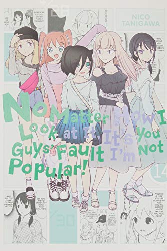No Matter How I Look at It, It's You Guys' Fault I'm Not Popular!, Vol. 14