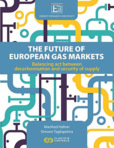 Energy Scenarios and Policy