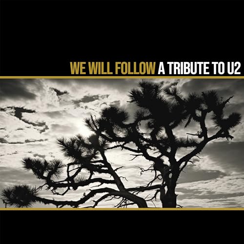 Various Artists - We Will Follow - A Tribute To U2 [VINYL]