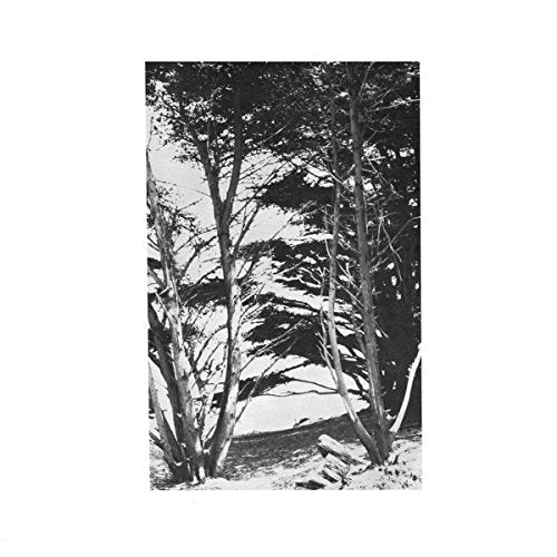 Deitrick, Rick - Gentle Wilderness  [VINYL]