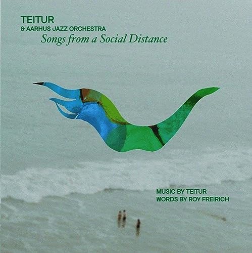 Teitur & Aarhus Jazz Orchestra - Songs from a Social Distance (140g Vinyl)  [VINYL]