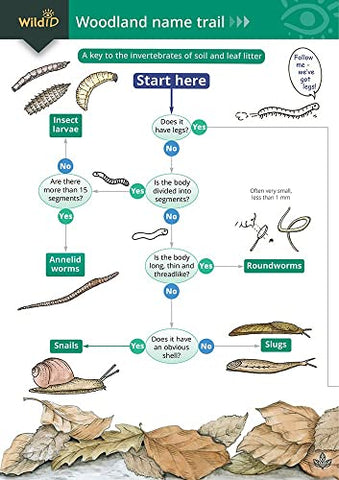 Woodland name trail 1994: A key to the invertebrates of soil and leaf litter