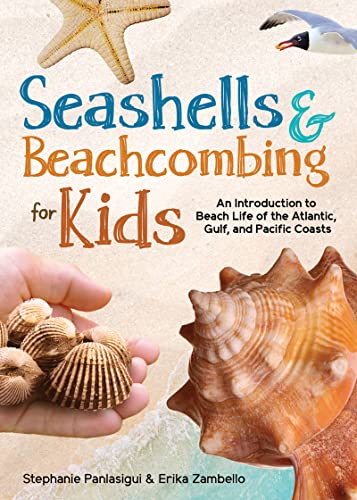 Seashells & Beachcombing for Kids : An Introduction to Beach Life