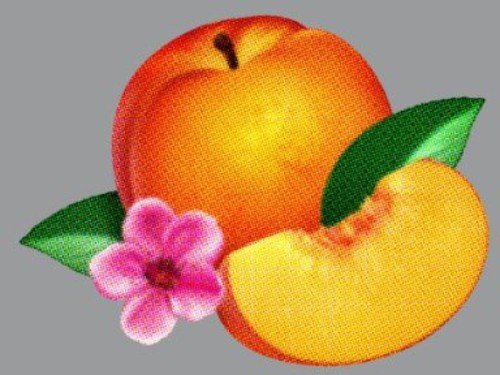 Illustration of a peach, a peach slice, a flower, and green leaves.