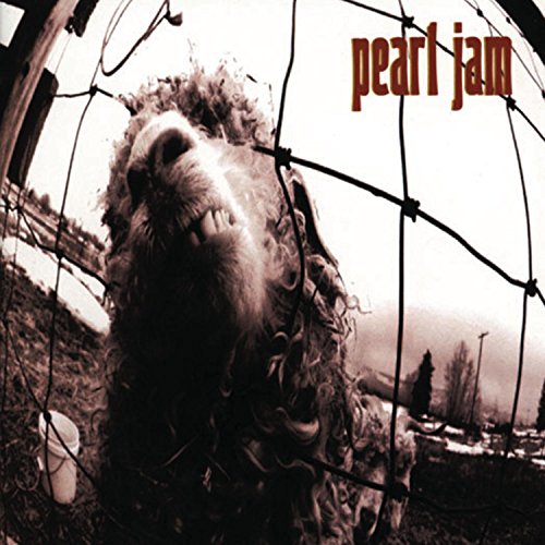 Pearl Jam's "Vs" album cover: a lion's face behind wire fencing.