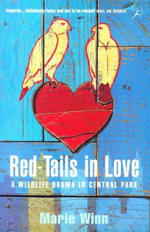 Red-tails in Love : A Wildlife Drama in Central Park