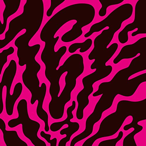 16-17 - PHANTOM LIMB [VINYL]