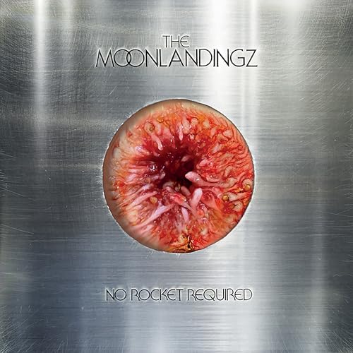 The Moonlandingz - No Rocket Required [VINYL]
