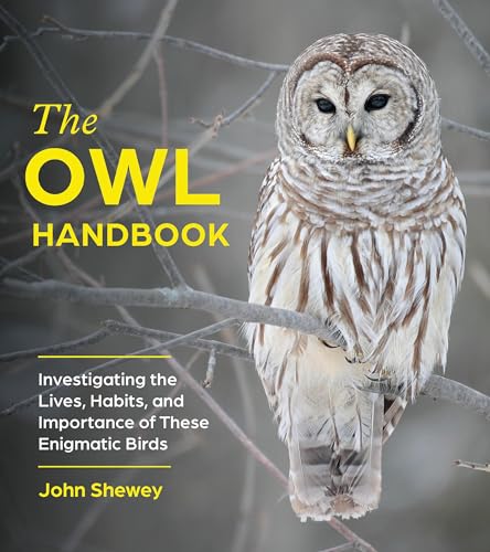 The Owl Handbook : Investigating the Lives, Habits, and Importance of These Enigmatic Birds